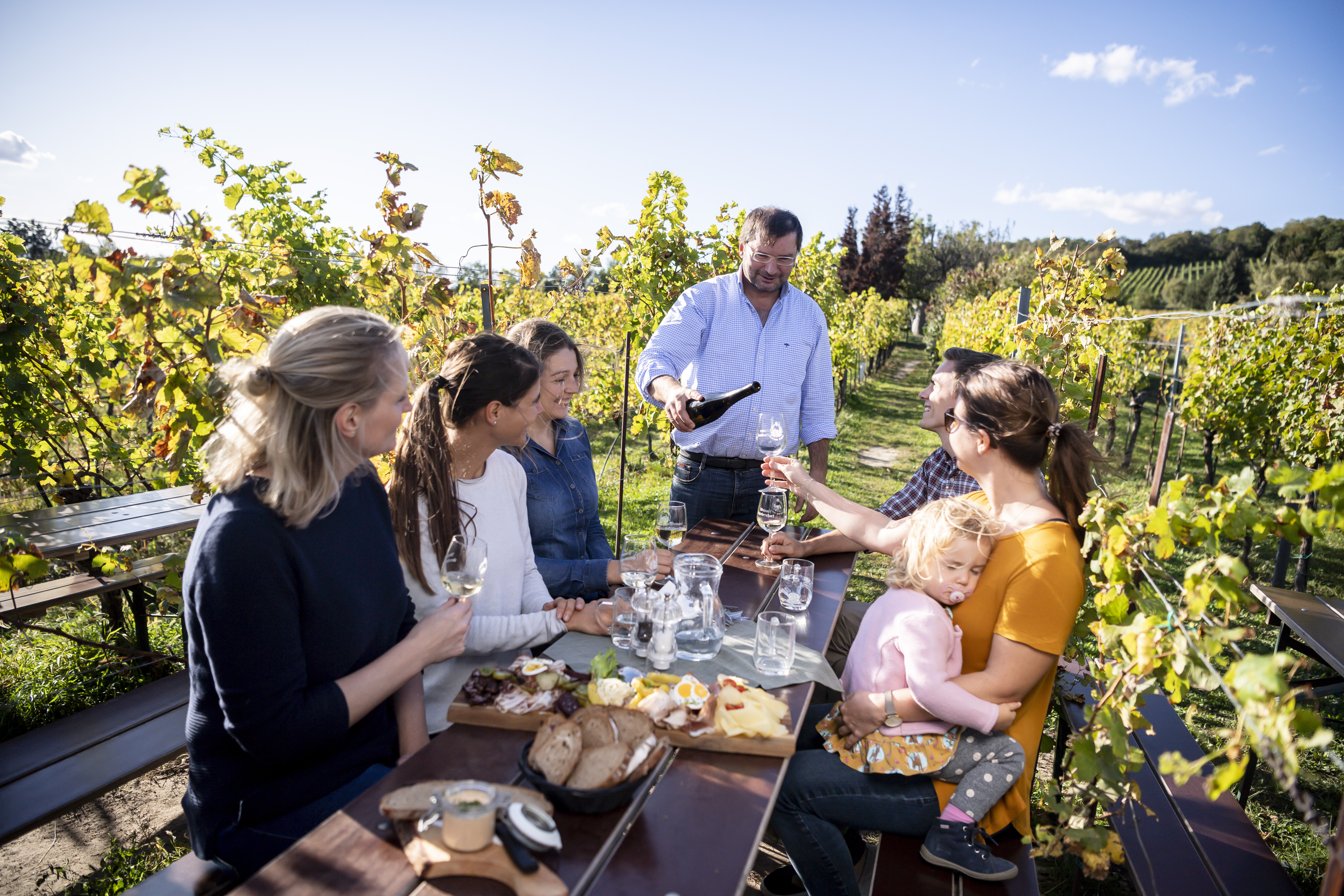 Weingut Walter Wien 