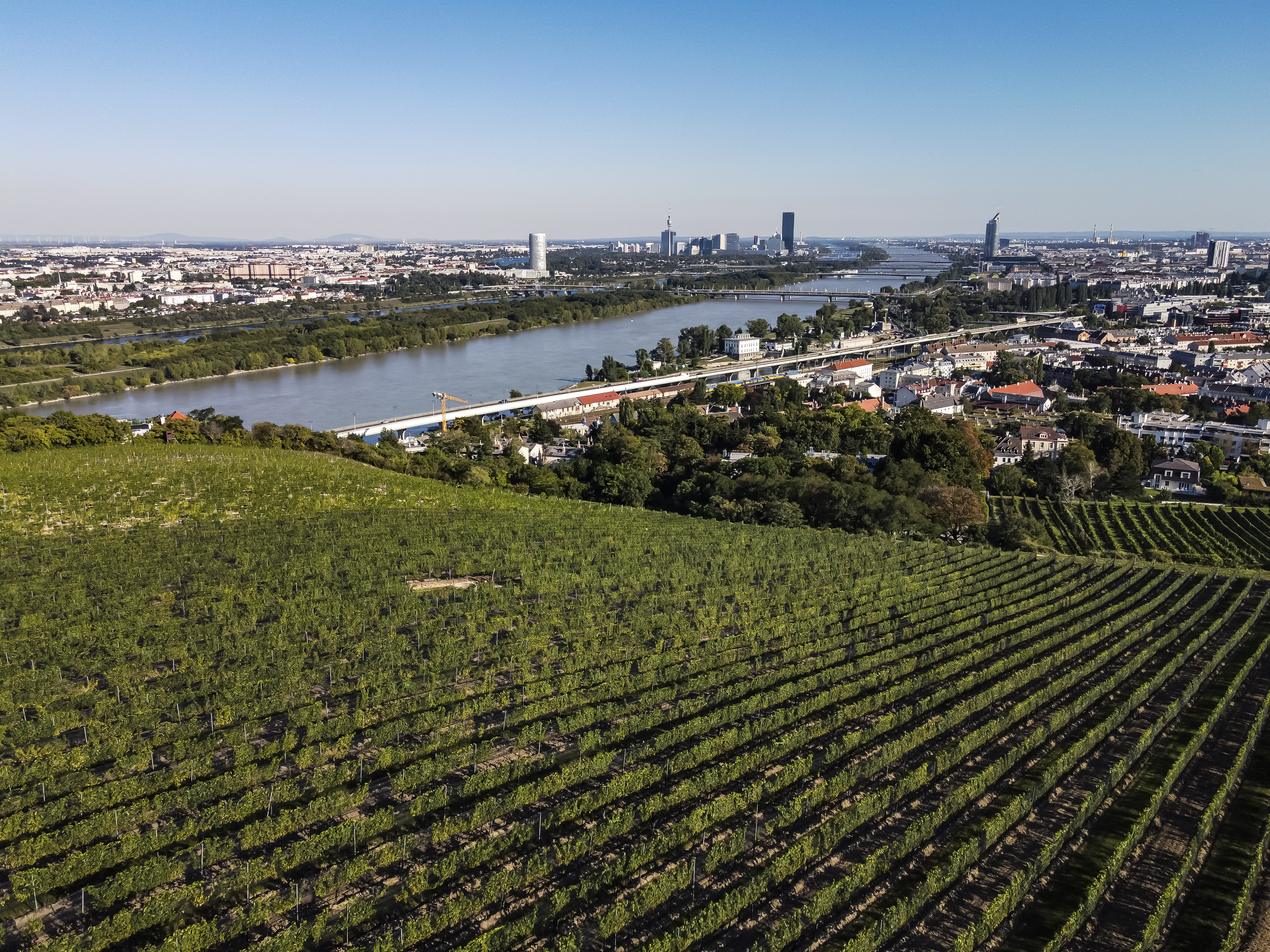 wien-nussberg-ulm-herbst