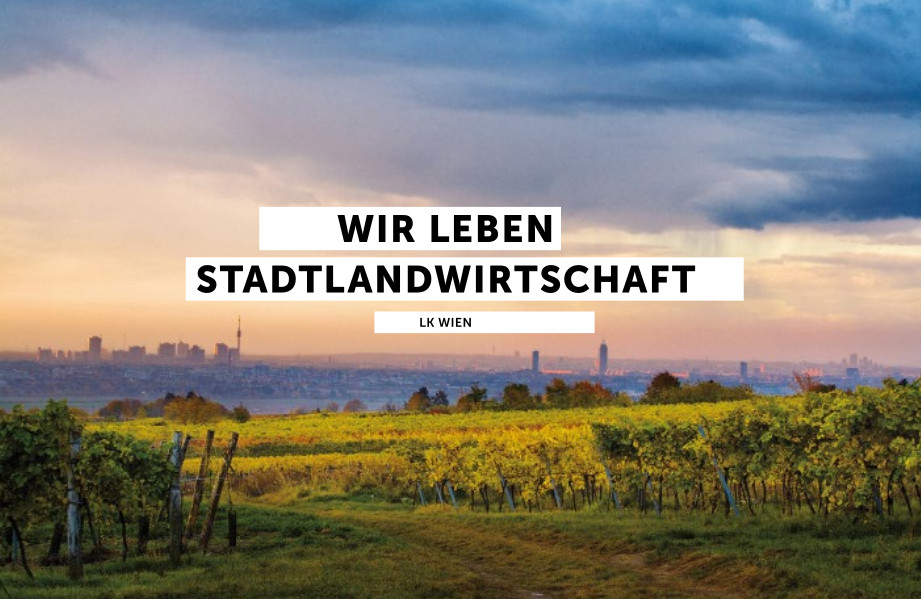 Wir leben Stadtlandwirtschaft