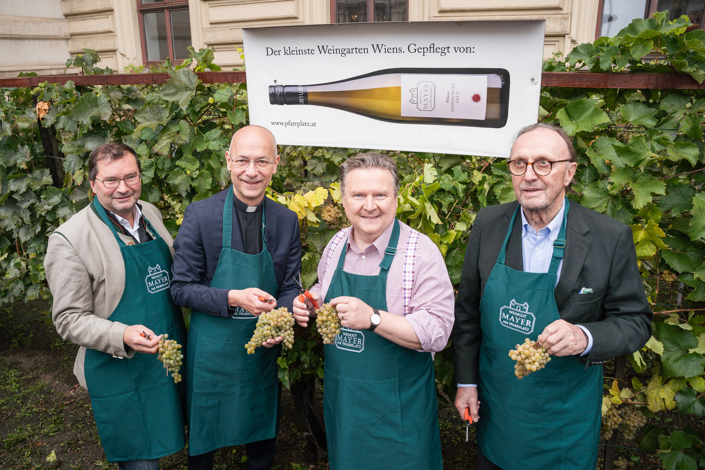 Weinlese am Schwarzenbergplatz v.l.n.r.: Präsident des Landesweinbauverbandes Wien Norbert Walter MAS, Dompfarrer Toni Faber, Bürgermeister Dr. Michael Ludwig, Eigentümer vom Weingut Mayer am Pfarrplatz Hans Schmid © Paul Pibernig