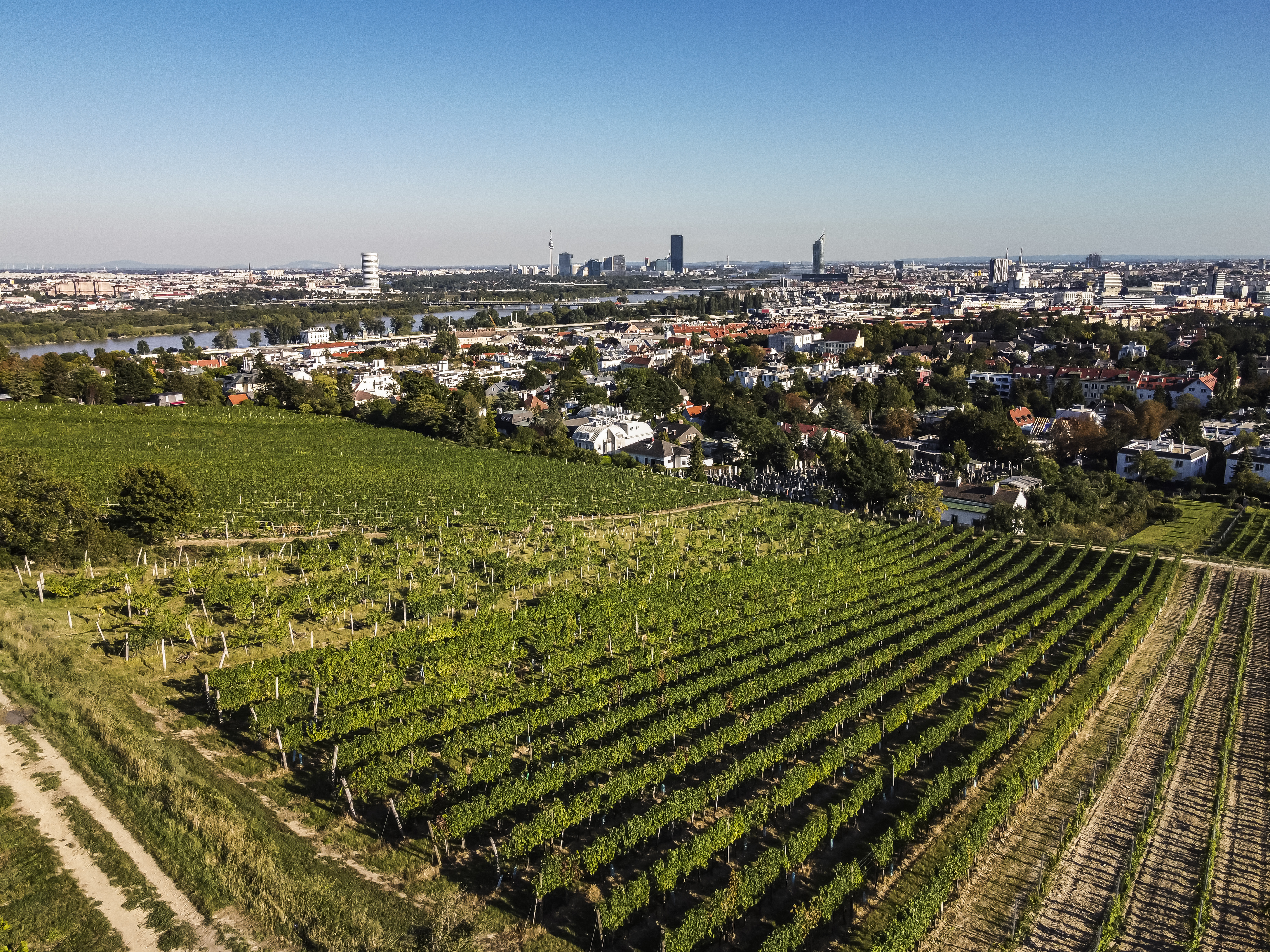 Wien Nußberg Erinnerungsgarten