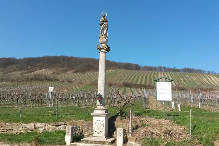 Mariensäule in Neustift (Foto: LK Wien / Elmar Feigl)