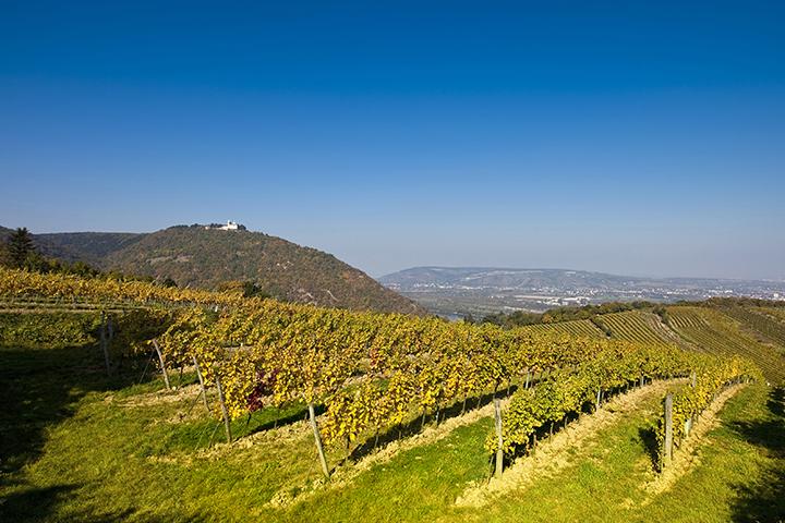 Kirche am Leopoldsberg oberhalb des Kahlenbergerdorfs (Quelle: IStock / Creativemarc)