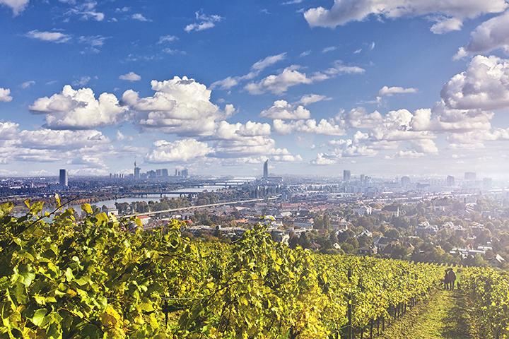 Blick vom Nußberg (Foto: IStock / Creativemarc)