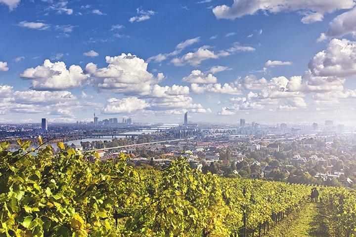 Blick vom Nußberg (Foto: IStock / Creativemarc)