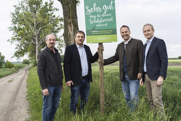 Infosignalethik