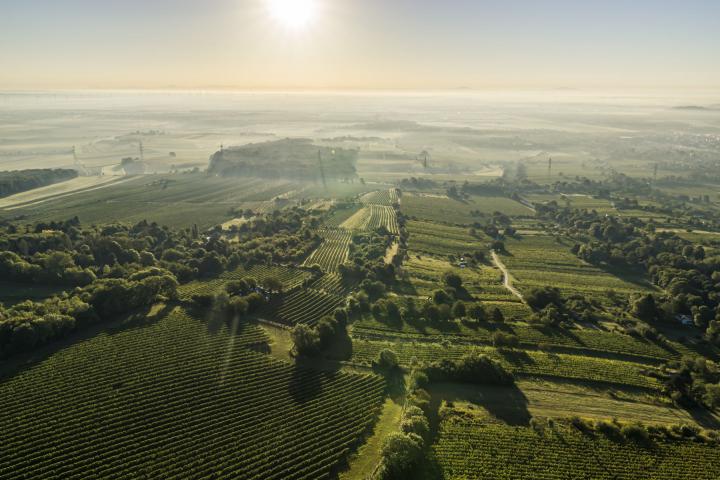 Stammersdorf Gschefern Herbst