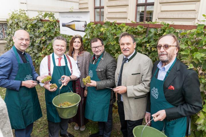 Weinlese am Schwarzenbergplatz
