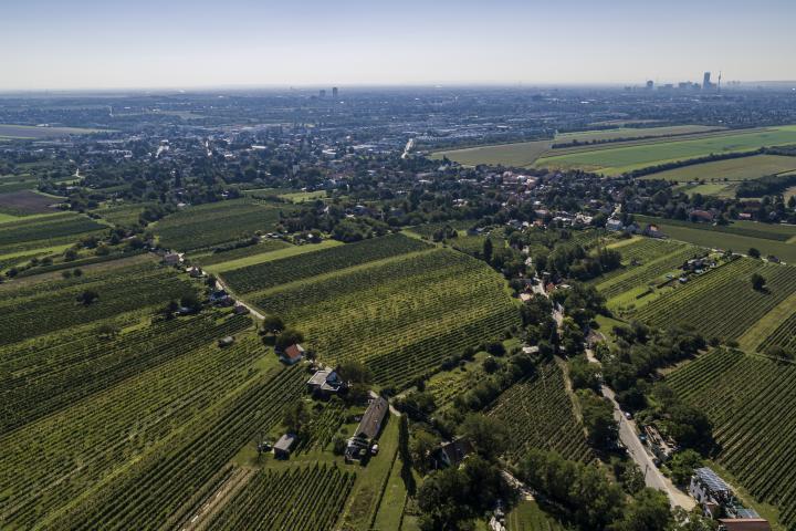 Stammersdorf Neusätzen
