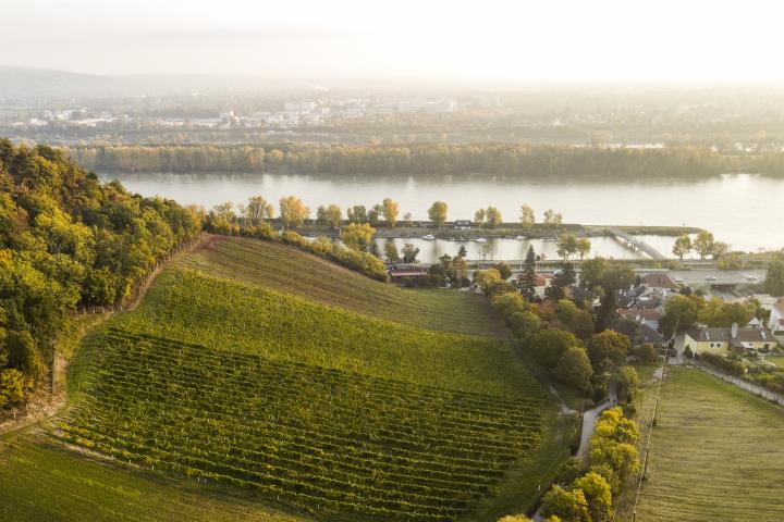 Kahlebergerdorf