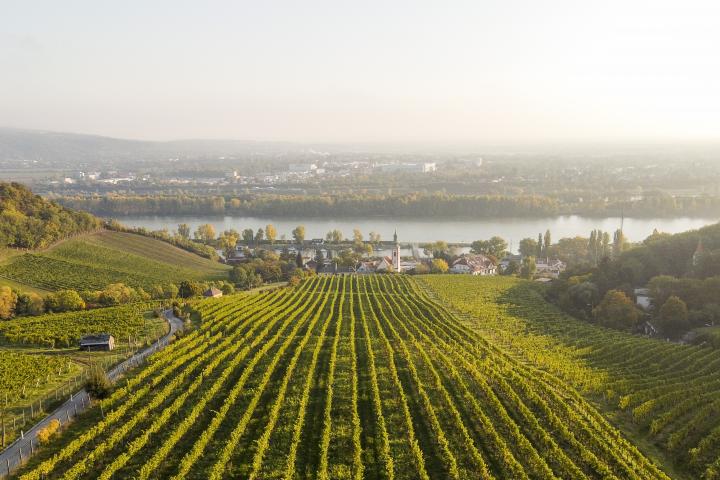 Wien Kahlenbergerdorf