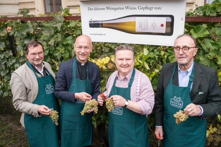 Weinlese am Schwarzenbergplatz v.l.n.r.: Präsident des Landesweinbauverbandes Wien Norbert Walter MAS, Dompfarrer Toni Faber, Bürgermeister Dr. Michael Ludwig, Eigentümer vom Weingut Mayer am Pfarrplatz Hans Schmid