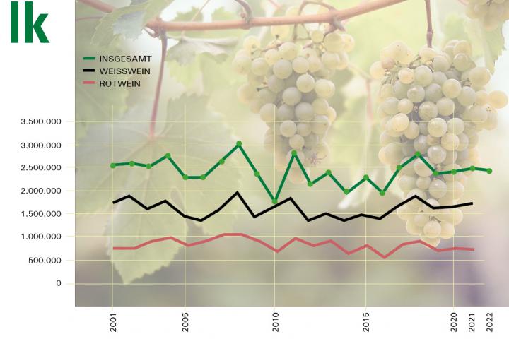 Weinernte in Österreich 