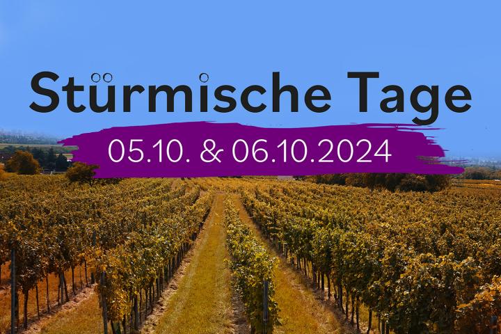 Flyer Stürmische Tage