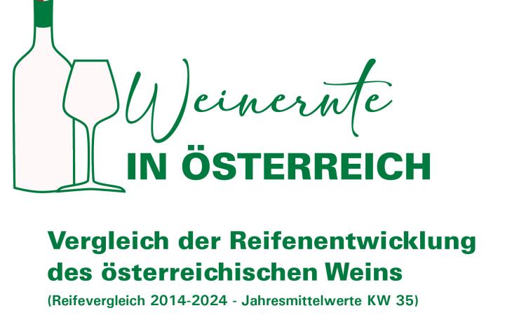 Weinernte in Österreich