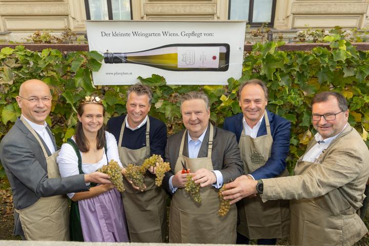 Weinlese am Schwarzenbergplatz 