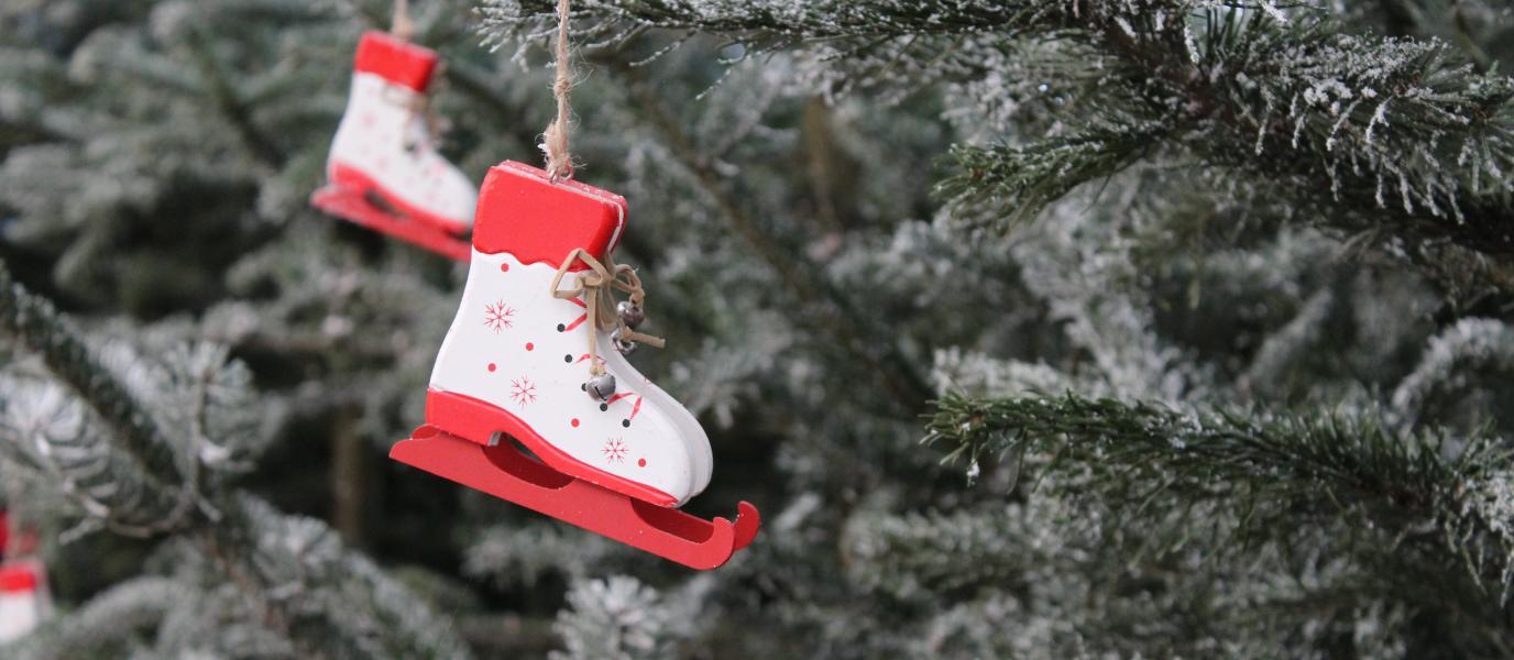 Schlittschuhe