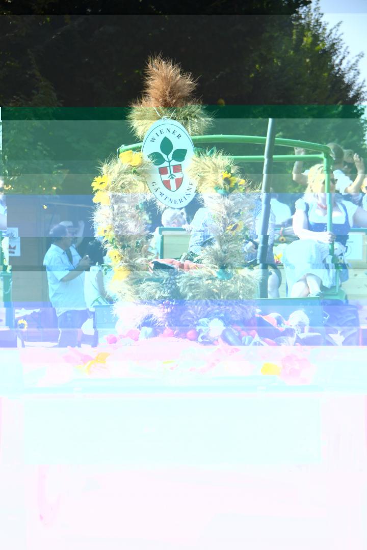 Umzug
