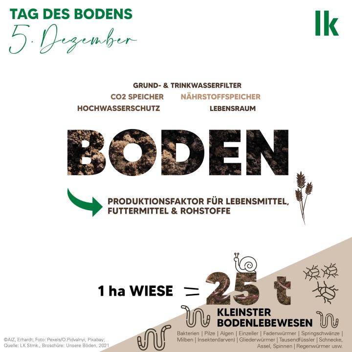 Boden