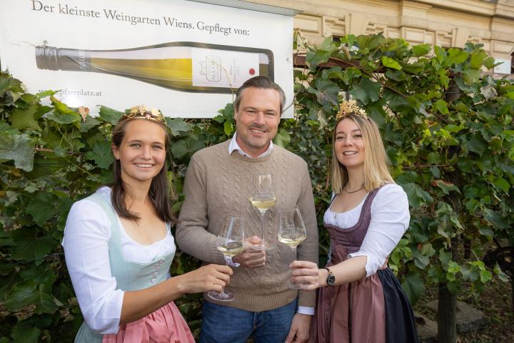 Weinlese am Schwarzenbergplatz