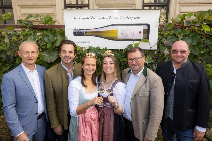 Weinlese am Schwarzenbergplatz