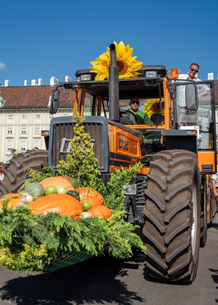 ernte.dank.festival 2025